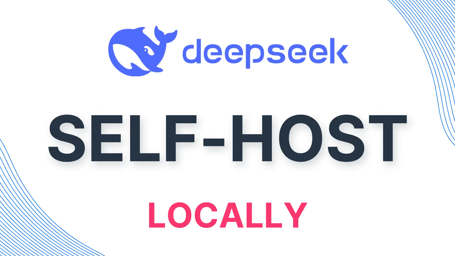 How to self-host DeepSeek-R1 locally